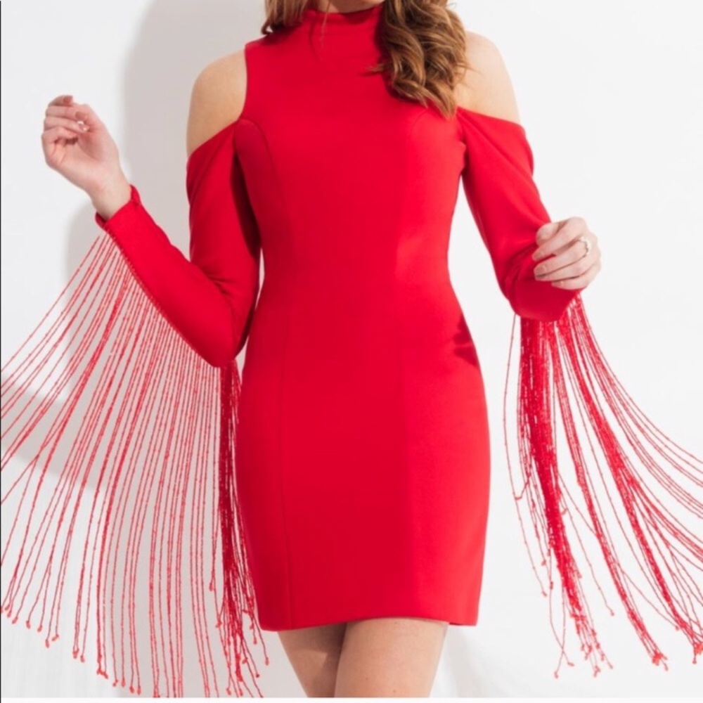 COPY - NWT Red beaded fringe dress